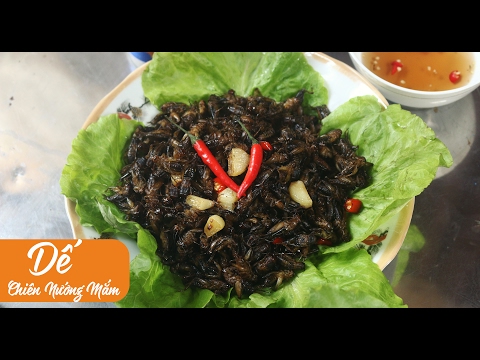 Video DẾ CHIÊN NƯỚC MẮM | THĂM TRẠI DẾ MIỀN TÂY - youtube