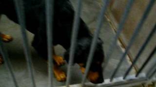 100_3906.MOV