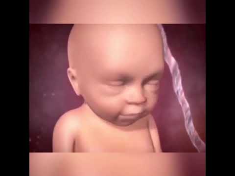 Video: A janë dopplerët e fetusit të sigurt për t'u përdorur çdo ditë?