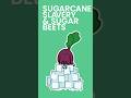 Sugarcane, Slavery & Sugar Beets #shorts