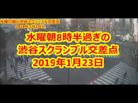 【渋谷スクランブル交差点】SHIBUYA Scramble Crossing　水曜日朝の渋谷スクランブル交差点 2019年1月23日（水） 午前9時20分