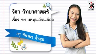 วิทยาศาสตร์ ม.2 ตอนที่ 6 ระบบหมุนเวียนเลือด - Yes iStyle