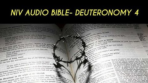 DEUTERONOMY 4 NIV AUDIO BIBLE (with text)