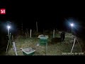 Bear and Electric Fence, Bee Yard Protection (Part #4, April 24, 2020)
