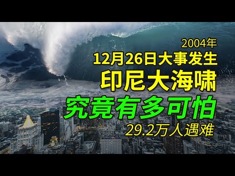 印度洋海啸到底有多可怕，29万人遇难，51万人受伤，想起都会打颤