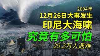 印度洋海啸到底有多可怕，29万人遇难，51万人受伤，想起都会打颤