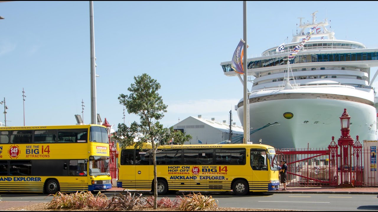 city tour bus auckland