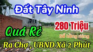 280tr Có Ngay Lô Đất Tây Ninh Có Thổ Cư ra Chợ và UBND Xã chỉ có 2 phút