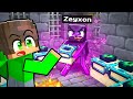 ROVINO la SPEEDRUN del MIO AMICO TRASFORMANDOMI nei MOB di Minecraft!