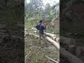 lakoh kajuh