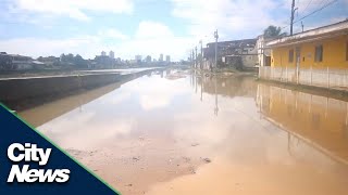 More than 80 people killed after floods hit Northeastern Brazil