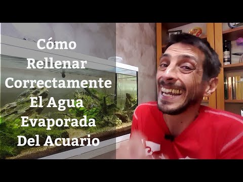 Video: ¿Qué hacer cuando el agua se evapora de la pecera?