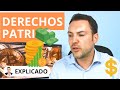 Las claves para entender los Derechos Económicos y Patrimoniales del Autor 💼💸 #7