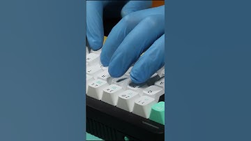 NuPhy Halo65 Mechanical Keyboard Typing Thocky, Clicky, Satisfying, Typing Test