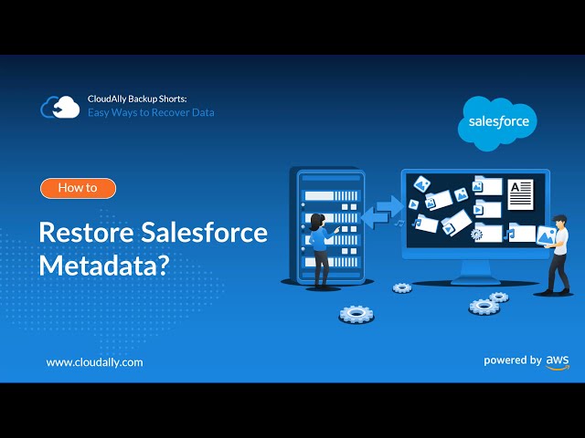 How to Recover Salesforce Metadata (reports, dashboards, etc)?