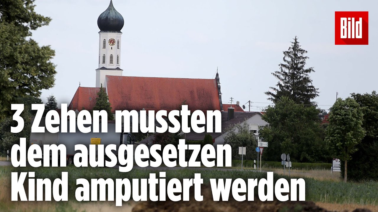Prachtweiber Machen Es Sich Auf Einem Feld Prachtweiber Machen Es Sich Auf Einem Feld