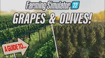 FS22 | A GUIDE TO… GRAPES & OLIVES! | Farming Simulator 22 | INFO SHARING PS5.