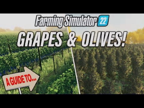 Fs22 | A Guide To Grapes x Olives! | Farming Simulator 22 | Info Sharing Ps5.