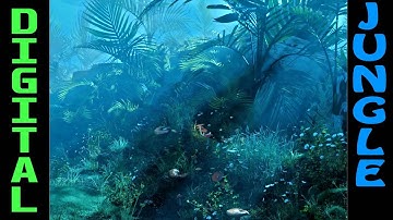 Jungle Atmosphere Megascans Forester Octane Cinema 4D