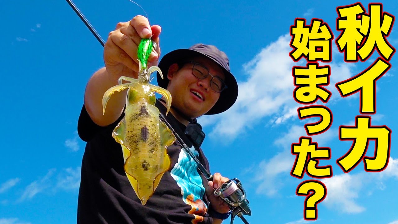 丸一日を使って堤防釣りをやってみた!!