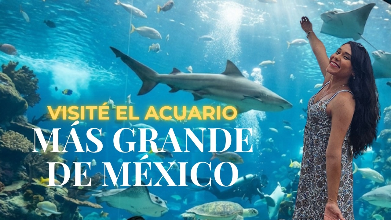 Acuario de Mazatlán: El MÁS GRANDE de MÉXICO y LATINOAMERICA - YouTube