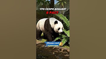 Панда в раст/rust #COBALTLAB — самый щедрый сайт с кейсами #rust #раст #rustclips #rustshorts