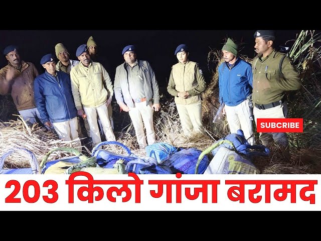 2 क्विंटल 3 किलो गंजा जप्त, तस्कर हुए फरार। बगहा एसपी ने प्रेस कॉन्फ्रेंस कर दी जानकारी।