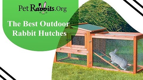 Best Outdoor Rabbit Hutches - Petrabbits.org