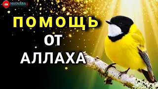 💖 ОЧЕНЬ СИЛЬНЫЙ ДУА - Аллах дарует выход из любой трудности! 🤲✨