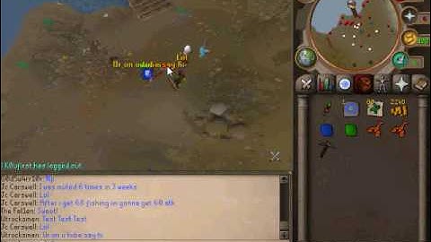 Runescape Randomness