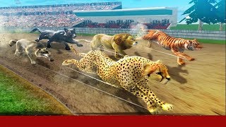 Wild Animal Racing Game|Animal Racing Game| Android IOS GamePlay screenshot 4