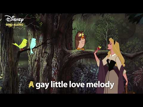 I Wonder | Sleeping Beauty Lyric Video  | DISNEY SING-ALONGS