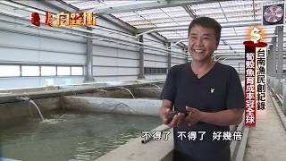 十年磨一劍 營造頭家變身筍殼魚大王 190622【台灣向錢衝】PART1