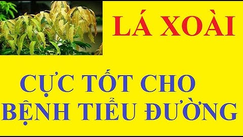 Lá xoài non|Lá xoài chữa bệnh tiểu đường|Sức khỏe mỗi ngày