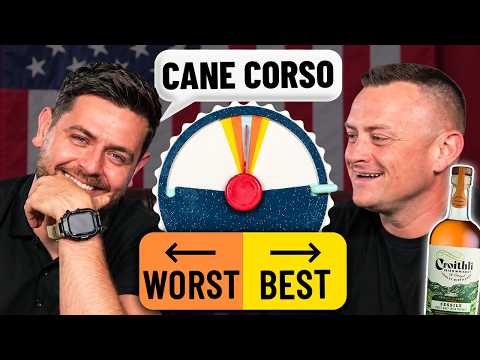 Dog Trainers Argue Over the BEST Dog Breeds!