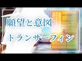 【解読リアリティ・トランサーフィン】意図とは？ 「願望」と「意図」のちがい ／ 続編２を読んで選択の力、内的意図と外的意図の使い方を解説する。ヴァジム・ゼランドの願望実現の法則から宇宙の仕組みを解説…