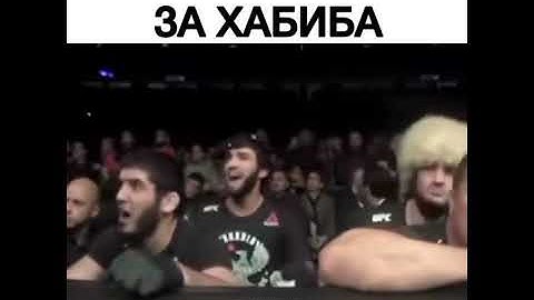 Ислам Махачев . Абубакр Нурмагомедов . Зубайра Тухугов в углу Хабиба