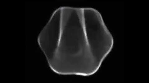 Contactless Fluid Manipulation in Air: Droplet Coalescence and Active Mixing by Acoustic Levitation