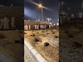 Makkah Hajj Umra 2025 Saudiaarbia Mekkah Subscribe Umra Shortvideo Makkah Hajj Umra 2025 Saudiaarbia Mekkah Subscribe Umra Shortvideo