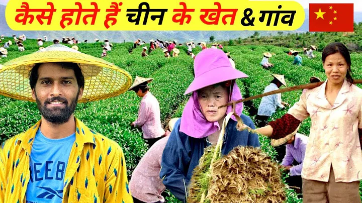 Rural Village Life Of China 🇨🇳 | Miao Village China | - DayDayNews