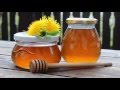 Make Your Own Dandelion Honey Syrup