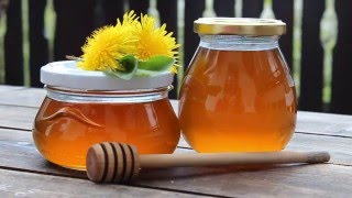 Make Your Own Dandelion Honey / Syrup