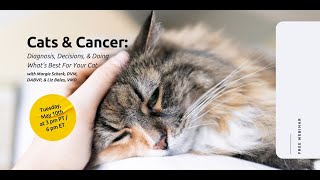 Cats & Cancer: Diagnosis, Decisions, and Doing What's Best for Your Cat