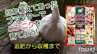 R...jgdにんにく栽培終了 Rjgdにんにく栽培終了 ニンニク関連ラインナップ│株式会社