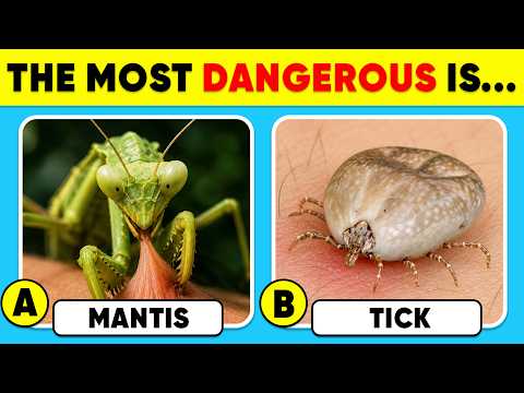 How Good Is Your Knowledge of Animals? 🦁🦊🐺🐻 HARD Animal Knowledge Test