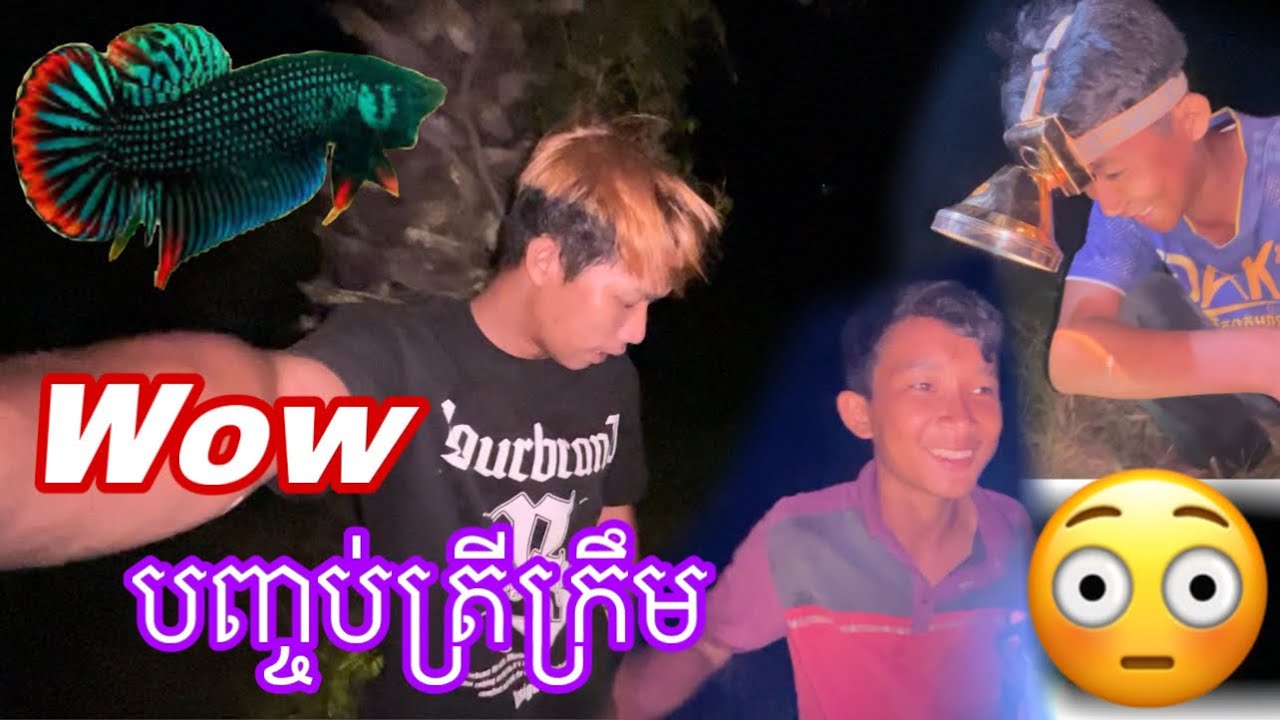 ថ្មីប្លែក🤣ទៀតហើយបងប្អូន‼️មកជញ្ជាត់ត្រីក្រឹមព្រៃពេលយប់😱🔥