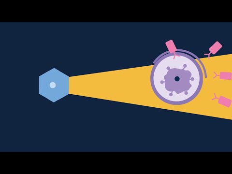 Video: Interleukin-15 Bij Kankerimmunotherapie: IL-15-receptorcomplex Versus Oplosbaar IL-15 In Een Kankercel-geleverd Muizenmodel