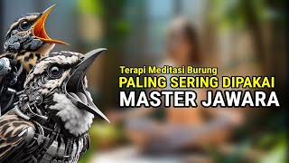 Kompilasi MASTERAN PALING AMPUH MUDAH DITIRU PASS UNTUK BURUNG FIGHTER‼️