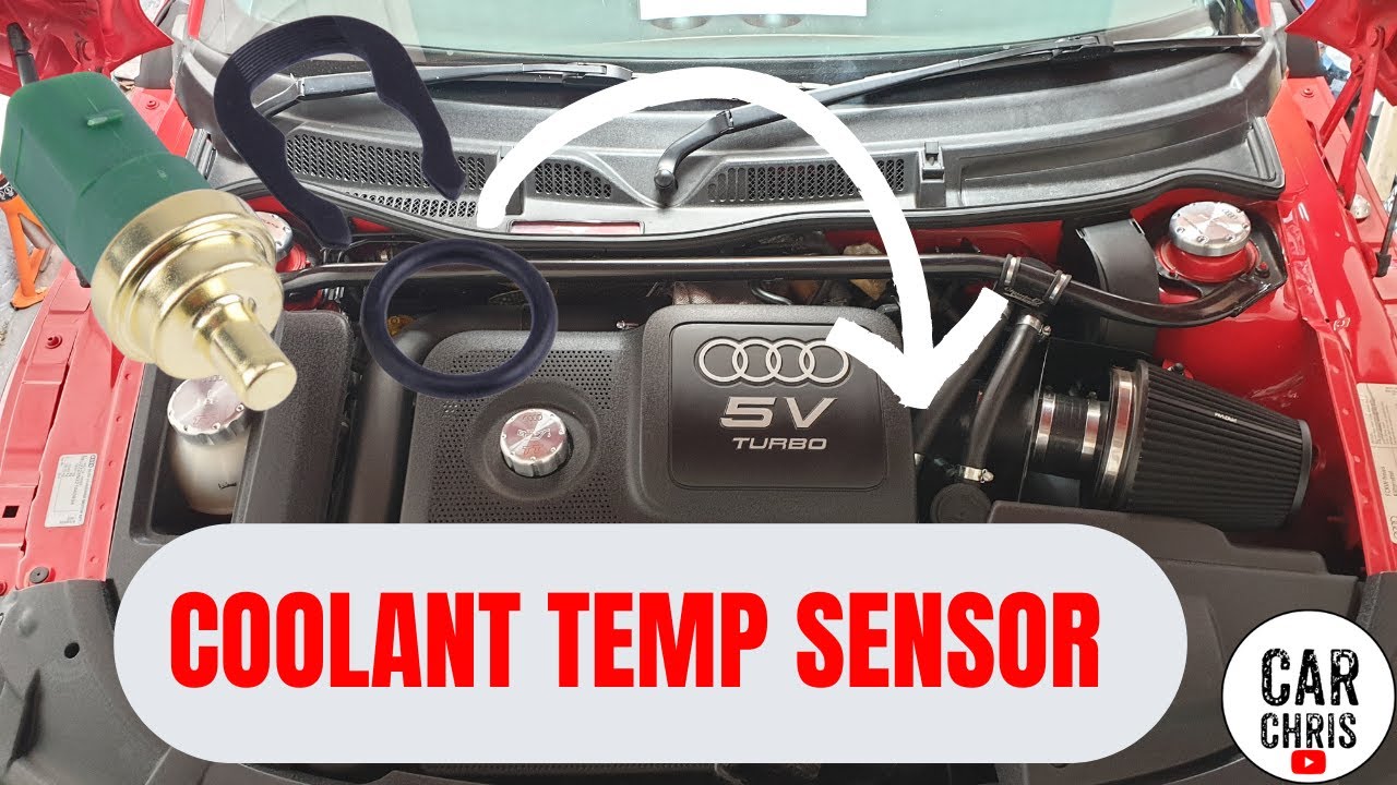 Audi, Volkswagen Engine Coolant Temperature Sensor with O-Ring