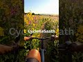 Cycling Through an Autumn Forest #cycling #relaxing  #shorts